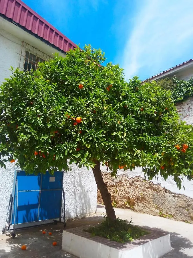 Apartment Mediterraneo Carihuela - Torremolinos